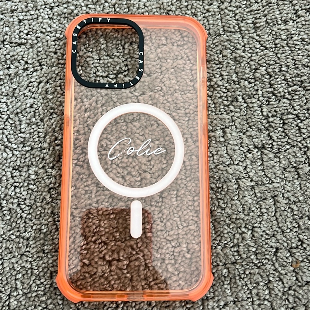 Casetify Orange Colie iPhone 13 Pro Max case